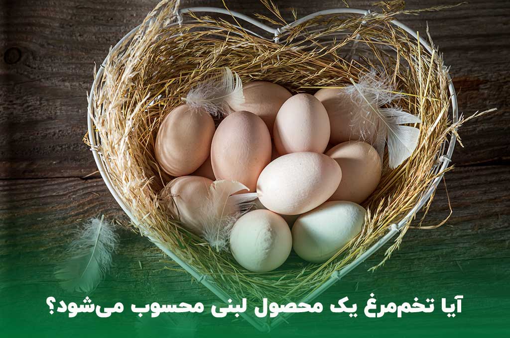 تخم مرغ یک محصول لبنی نیست
