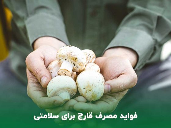 فواید مصرف قارچ برای سلامتی