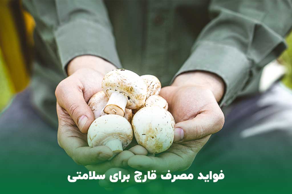 فواید مصرف قارچ برای سلامتی