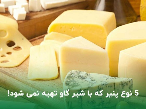 5 نوع پنیر متفاوت که با شیر گاو تهیه نمی شود!
