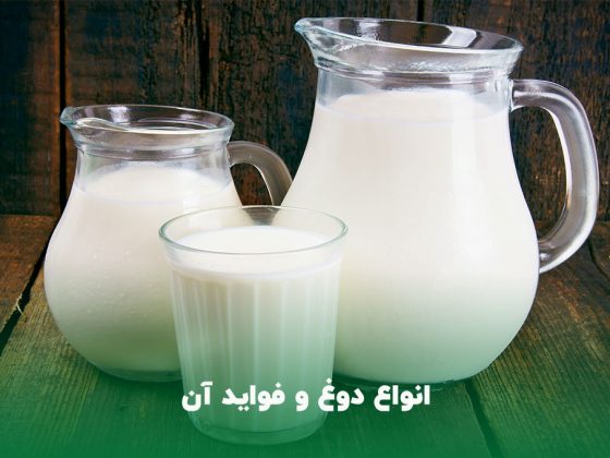 فواید دوغ