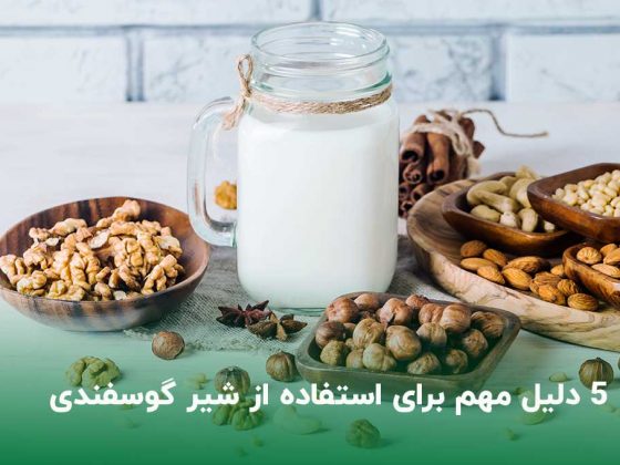 5 دلیل مهم برای استفاده از شیر گوسفندی